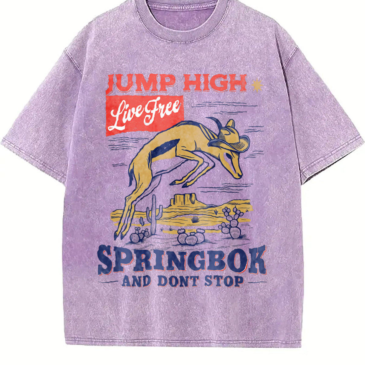 Springbok Western 90s Vintage Washed T-Shirt - product view