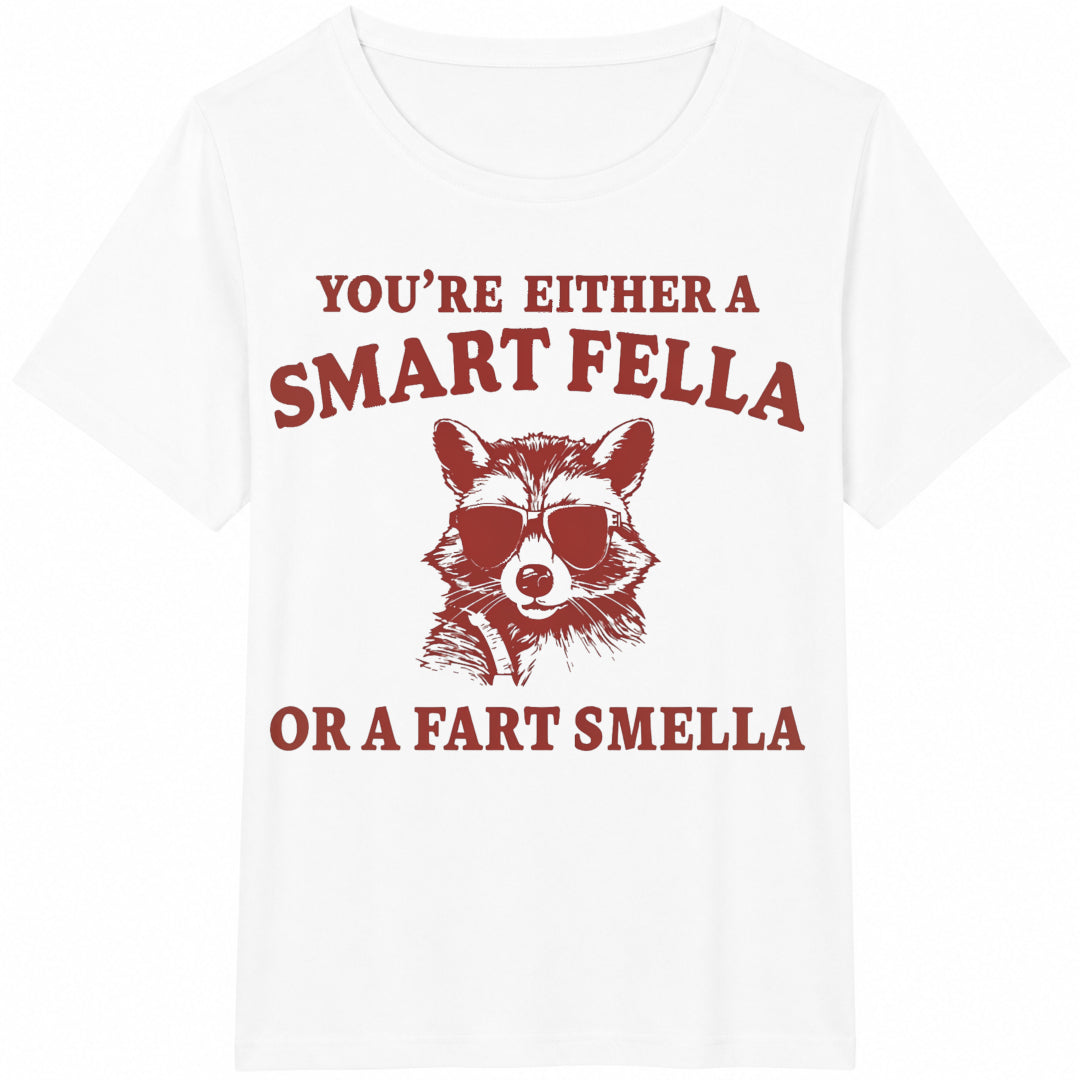 You're Either A Smart Fella Or A Fart Smella Funny Y2K Funny Cotton T-Shirt - product view