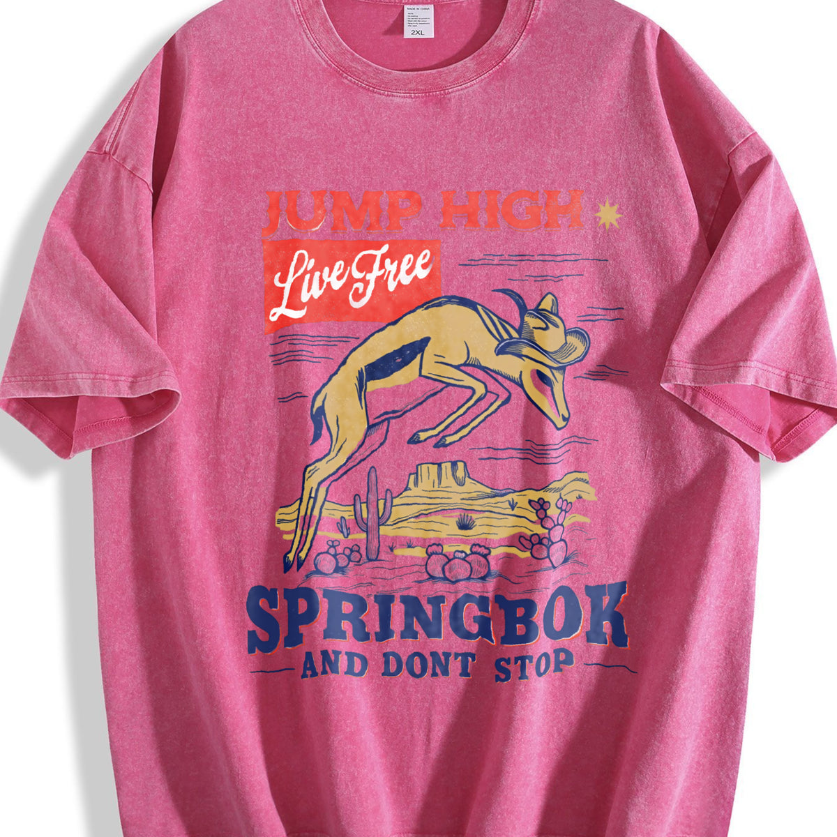 Springbok Western 90s Vintage Washed T-Shirt - product view