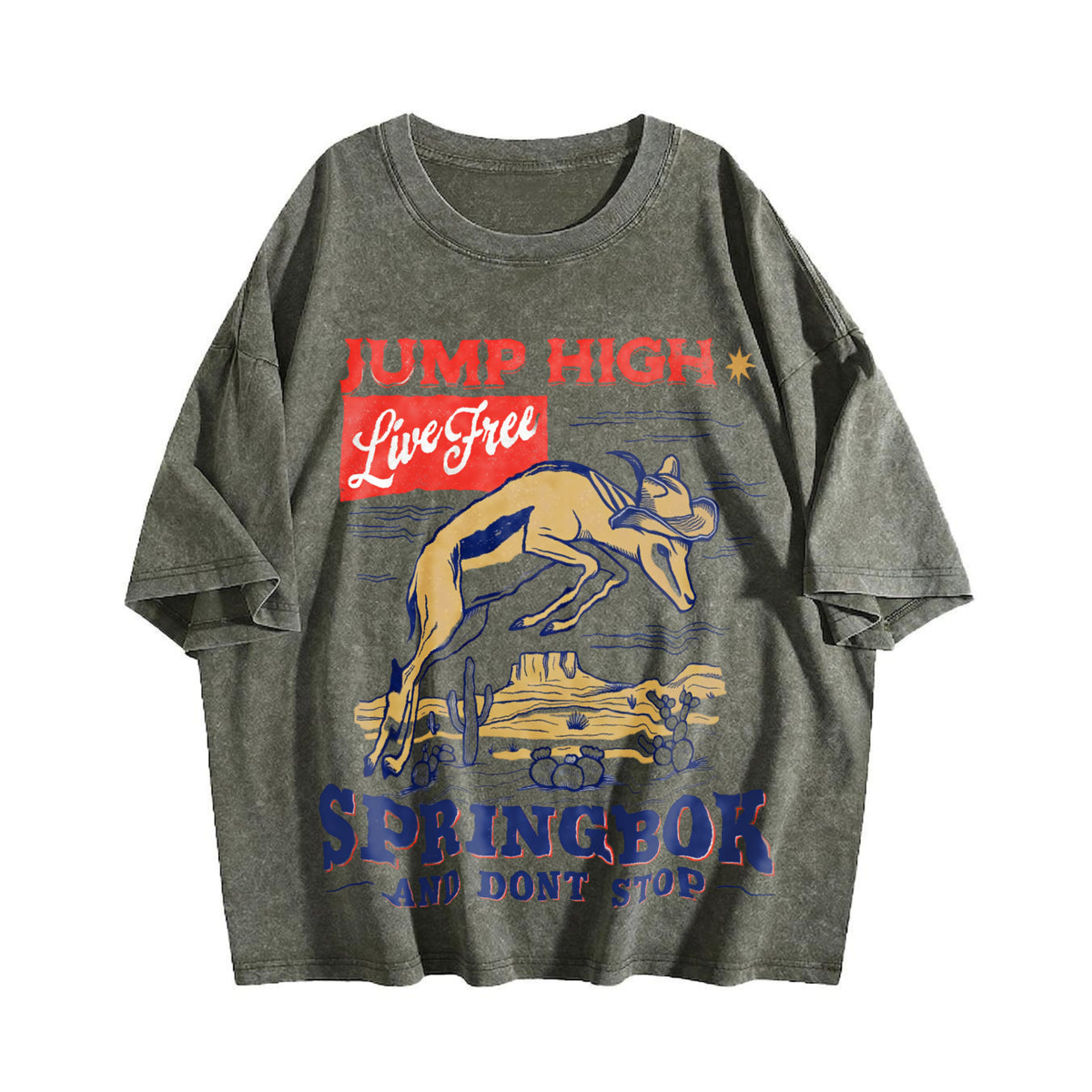 Springbok Western 90s Vintage Washed T-Shirt - product view