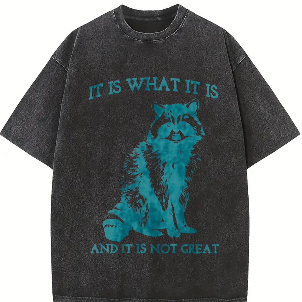 It Is What It Is And It Is Not Great, Vintage Drawing T Shirt, Raccoon Meme Shirt, Sarcastic Shirt, Mental Health Shirt, Trash Panda Shirt