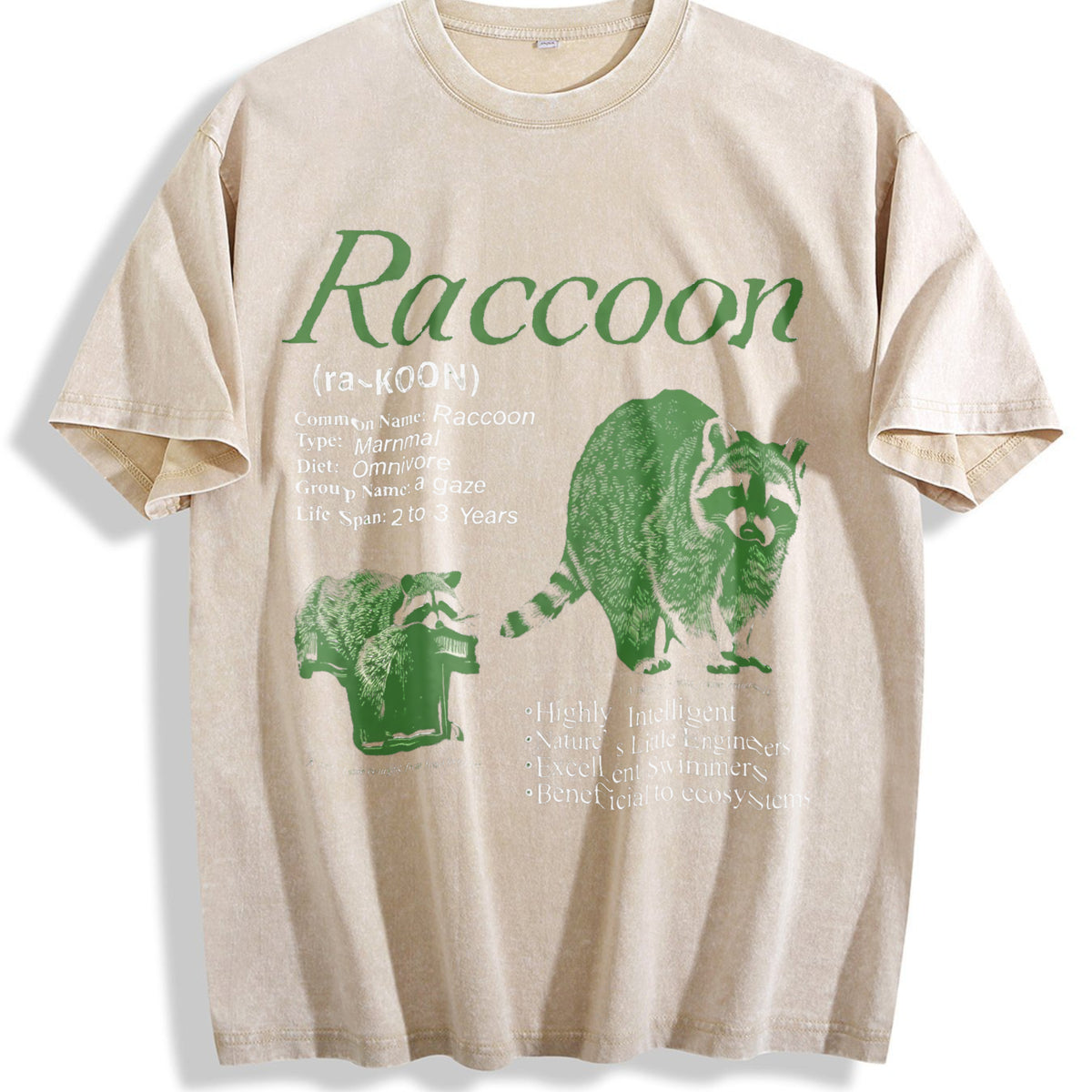 Raccoon Infographic Vintage Washed T-Shirt - Beige