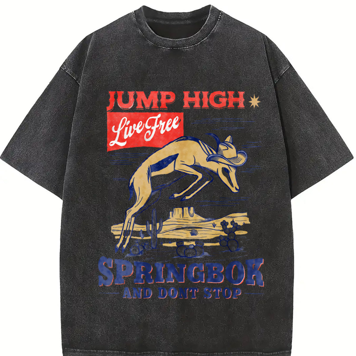 Springbok Western 90s Vintage Washed T-Shirt - product view