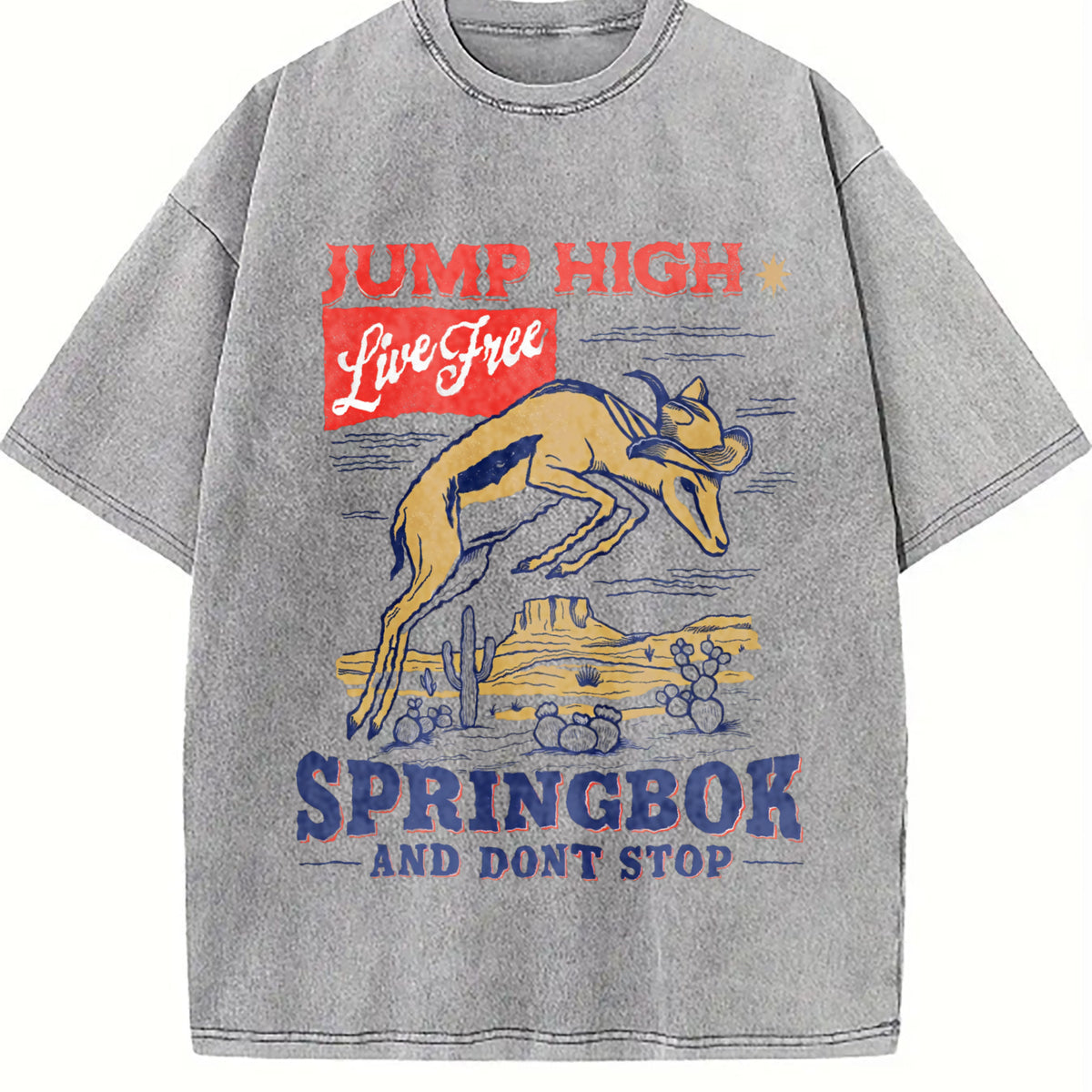 Springbok Western 90s Vintage Washed T-Shirt - product view