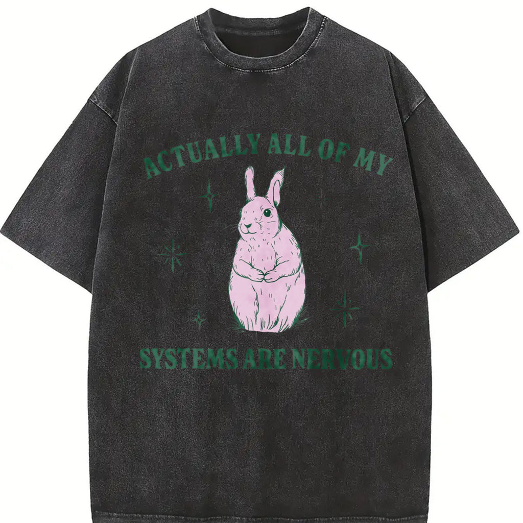 Actually All Of My Systems Are Nervous Funny Mental Health Tshirt, Meme Shirt Anxiety Tee, Coquette Fairycore Weirdcore Shirts,  Top Womenswear